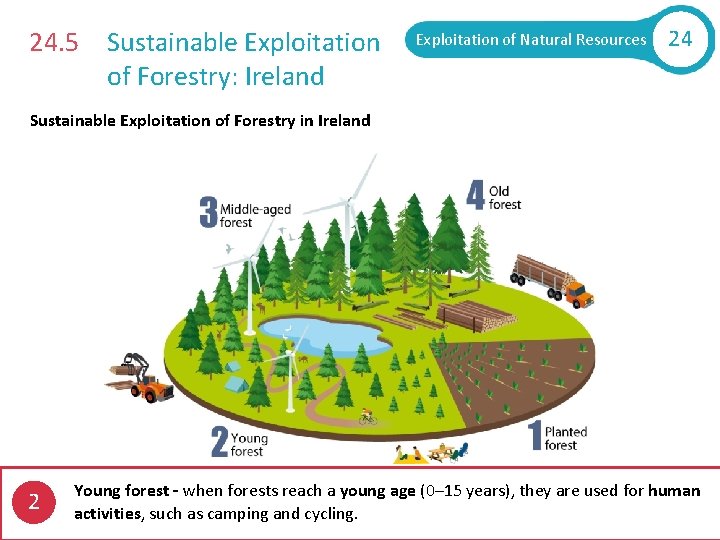 24. 5 Sustainable Exploitation of Forestry: Ireland Exploitation of Natural Resources 24 Sustainable Exploitation