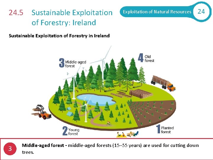 24. 5 Sustainable Exploitation of Forestry: Ireland Exploitation of Natural Resources 24 Sustainable Exploitation