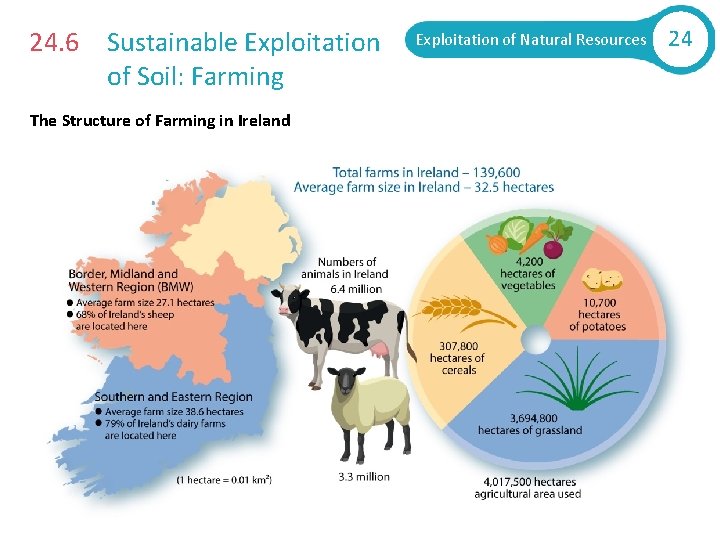 24. 6 Sustainable Exploitation of Soil: Farming The Structure of Farming in Ireland Exploitation