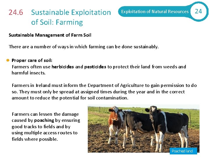 24. 6 Sustainable Exploitation of Soil: Farming Exploitation of Natural Resources 24 Sustainable Management