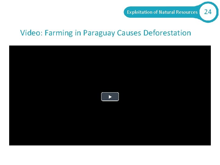 Exploitation of Natural Resources Video: Farming in Paraguay Causes Deforestation 24 