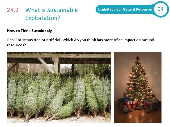24. 2 What is Sustainable Exploitation? Exploitation of Natural Resources How to Think Sustainably