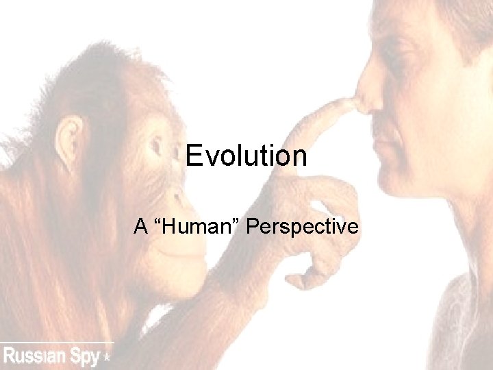 Evolution A “Human” Perspective 