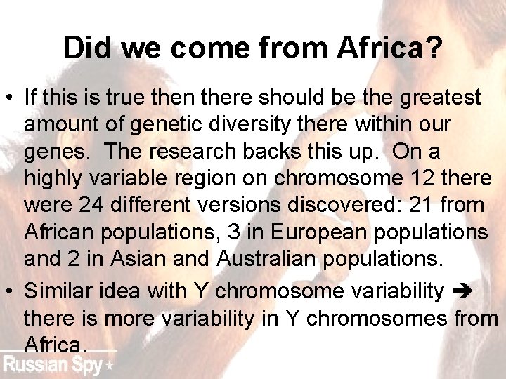 Did we come from Africa? • If this is true then there should be