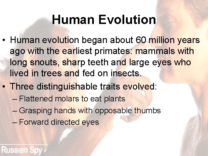 Human Evolution • Human evolution began about 60 million years ago with the earliest