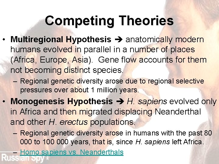 Competing Theories • Multiregional Hypothesis anatomically modern humans evolved in parallel in a number