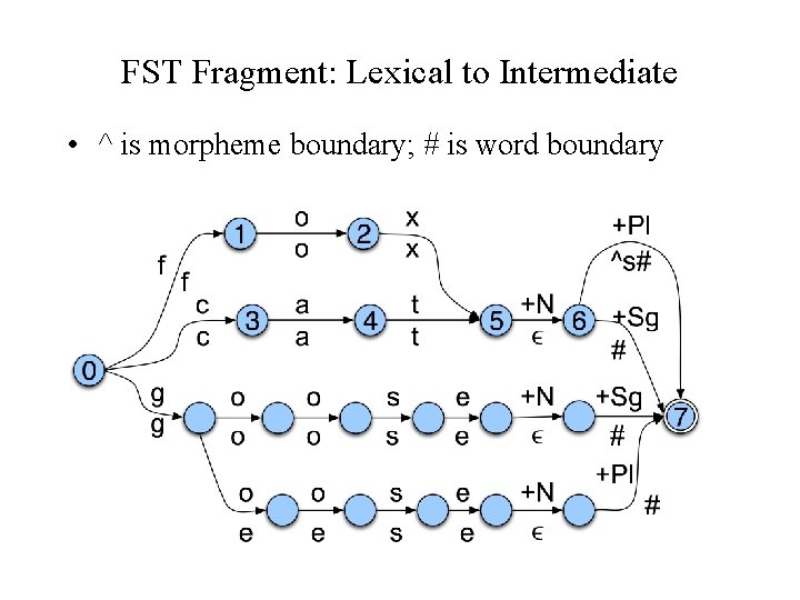 FST Fragment: Lexical to Intermediate • ^ is morpheme boundary; # is word boundary