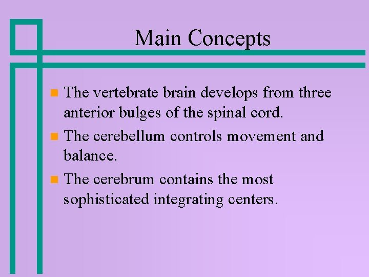 Main Concepts The vertebrate brain develops from three anterior bulges of the spinal cord. Main Concepts The vertebrate brain develops from three anterior bulges of the spinal cord.