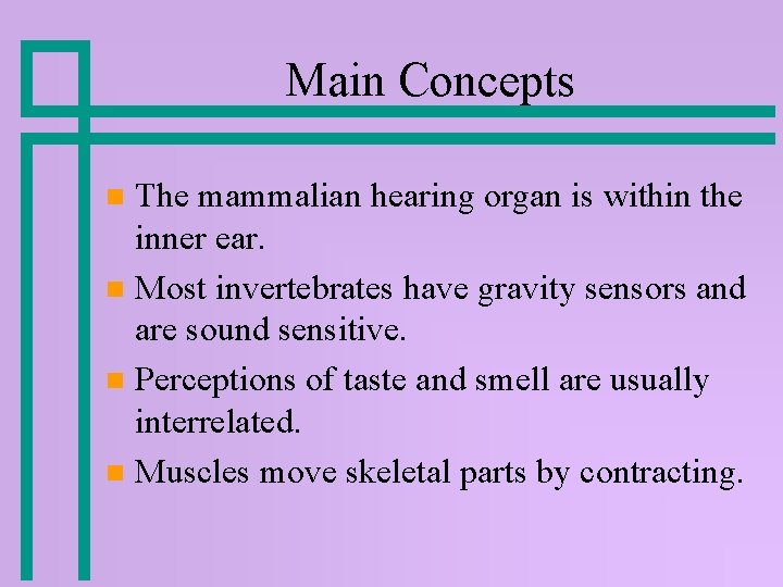 Main Concepts The mammalian hearing organ is within the inner ear. n Most invertebrates Main Concepts The mammalian hearing organ is within the inner ear. n Most invertebrates