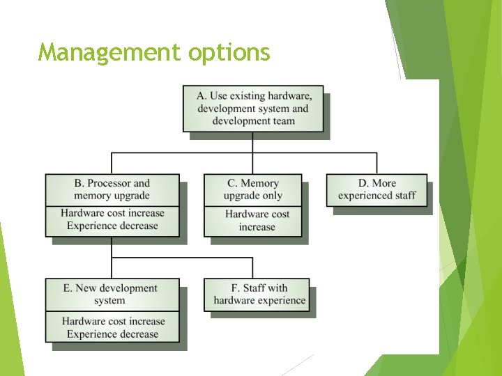 Management options 