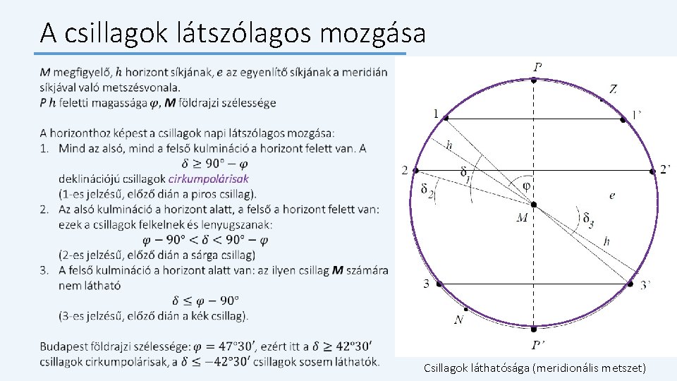 A csillagok látszólagos mozgása Csillagok láthatósága (meridionális metszet) 