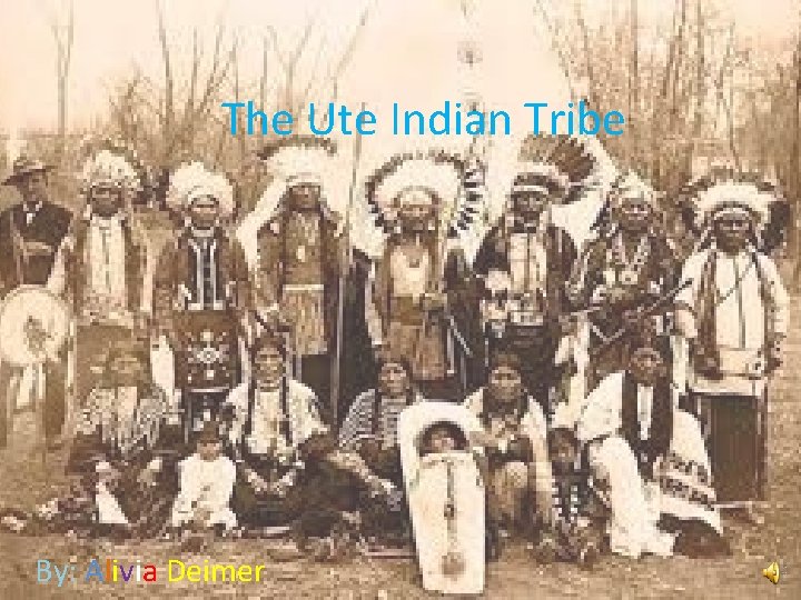 The Ute Indian Tribe By: Alivia Deimer 