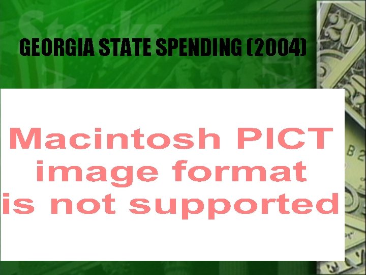GEORGIA STATE SPENDING (2004) 