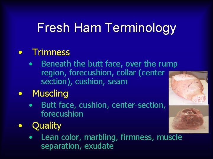 Fresh Ham Terminology • Trimness • • Muscling • • Beneath the butt face,