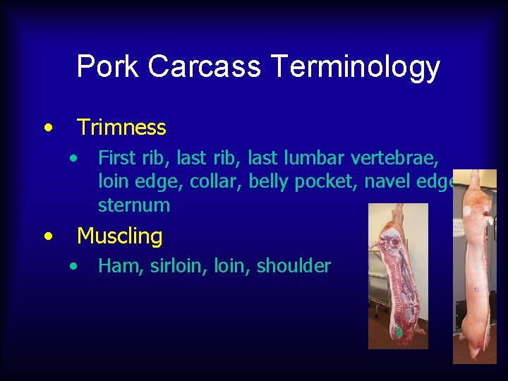 Pork Carcass Terminology • Trimness • • First rib, last lumbar vertebrae, loin edge,