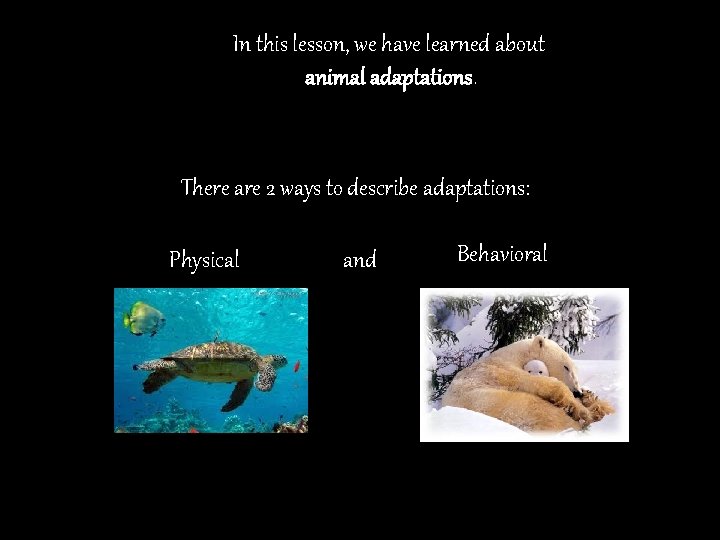 In this lesson, we have learned about animal adaptations. There are 2 ways to