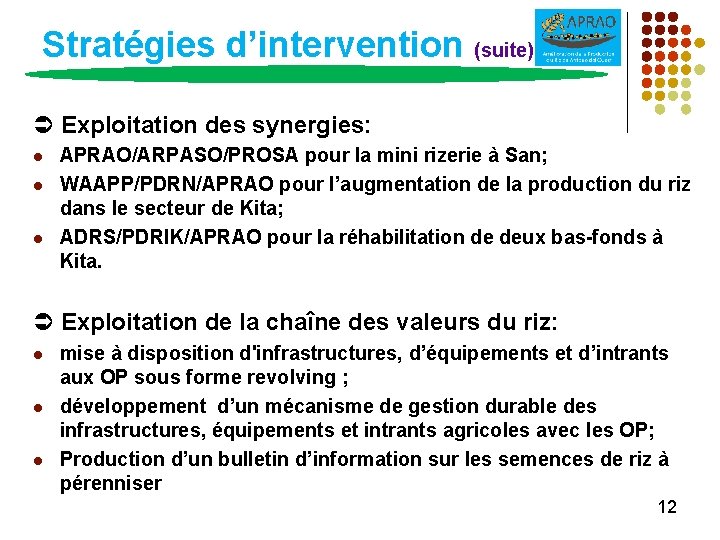 Stratégies d’intervention (suite) Exploitation des synergies: l l l APRAO/ARPASO/PROSA pour la mini rizerie