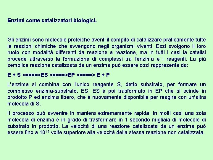 Enzimi come catalizzatori biologici. Gli enzimi sono molecole proteiche aventi il compito di catalizzare