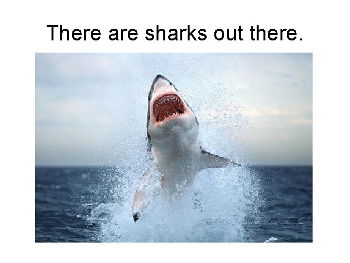 There are sharks out there. 