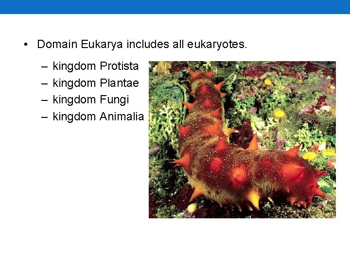• Domain Eukarya includes all eukaryotes. – – kingdom Protista kingdom Plantae kingdom • Domain Eukarya includes all eukaryotes. – – kingdom Protista kingdom Plantae kingdom