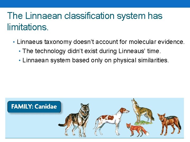 The Linnaean classification system has limitations. • Linnaeus taxonomy doesn’t account for molecular evidence. The Linnaean classification system has limitations. • Linnaeus taxonomy doesn’t account for molecular evidence.