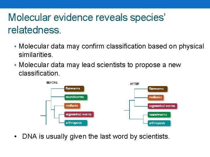 Molecular evidence reveals species’ relatedness. • Molecular data may confirm classification based on physical Molecular evidence reveals species’ relatedness. • Molecular data may confirm classification based on physical