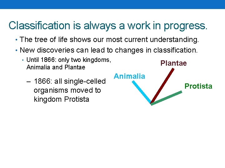 Classification is always a work in progress. • The tree of life shows our Classification is always a work in progress. • The tree of life shows our
