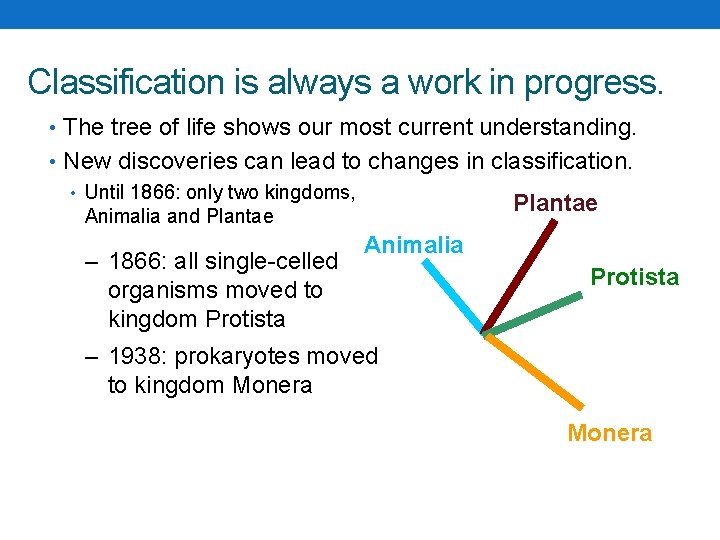 Classification is always a work in progress. • The tree of life shows our Classification is always a work in progress. • The tree of life shows our