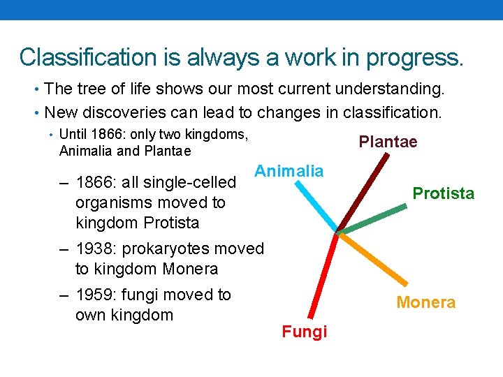 Classification is always a work in progress. • The tree of life shows our Classification is always a work in progress. • The tree of life shows our
