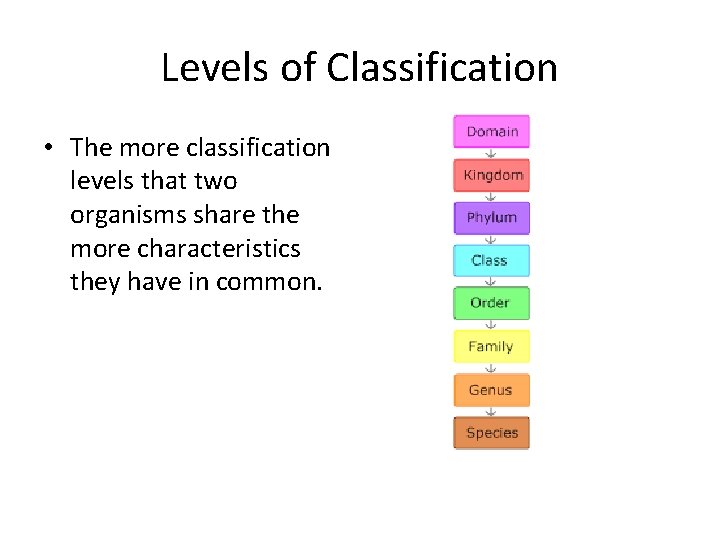 Levels of Classification • The more classification levels that two organisms share the more