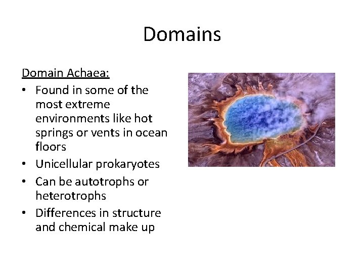 Domains Domain Achaea: • Found in some of the most extreme environments like hot