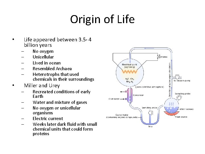 Origin of Life • Life appeared between 3. 5 - 4 billion years –