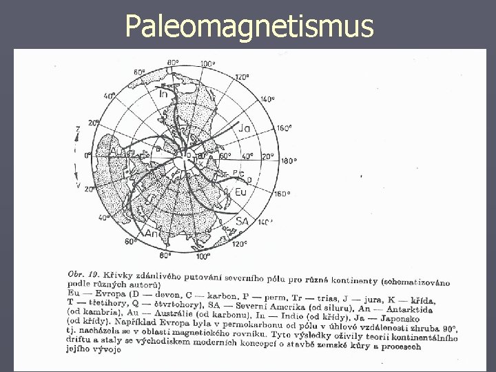 Paleomagnetismus 
