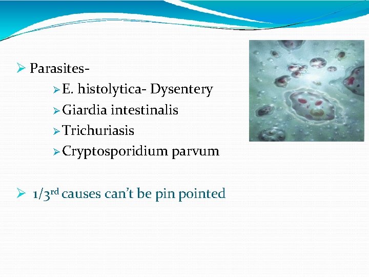  Parasites E. histolytica- Dysentery Giardia intestinalis Trichuriasis Cryptosporidium parvum 1/3 rd causes can’t