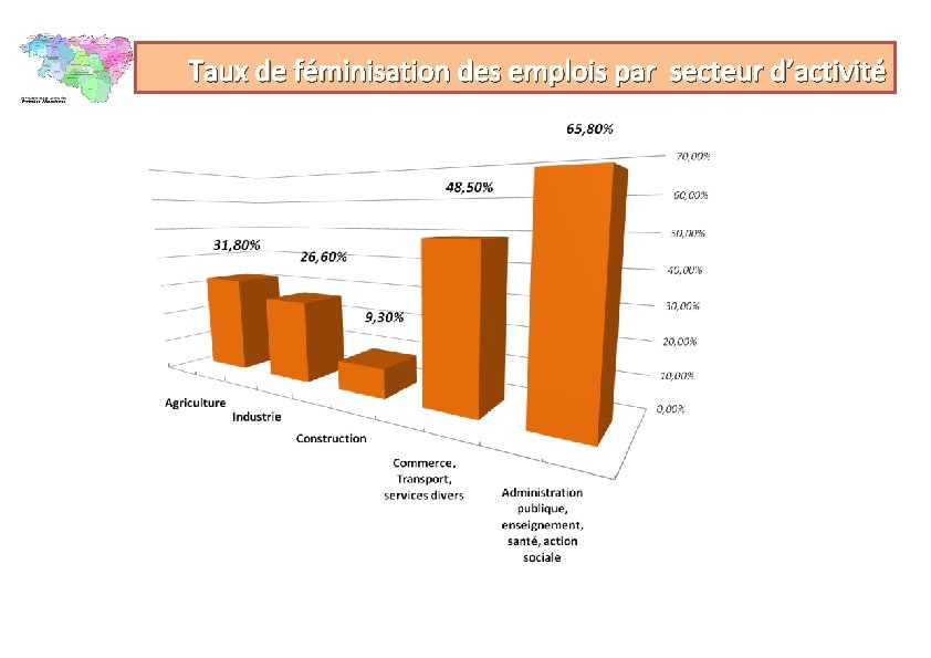 Taux de féminisation des emplois par secteur d’activité 