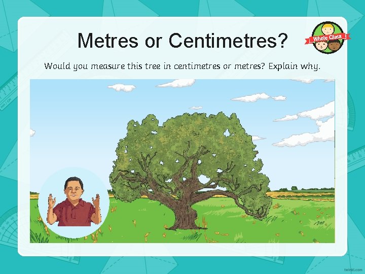 Metres or Centimetres? Would you measure this tree in centimetres or metres? Explain why.