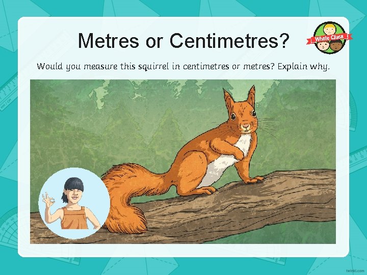 Metres or Centimetres? Would you measure this squirrel in centimetres or metres? Explain why.