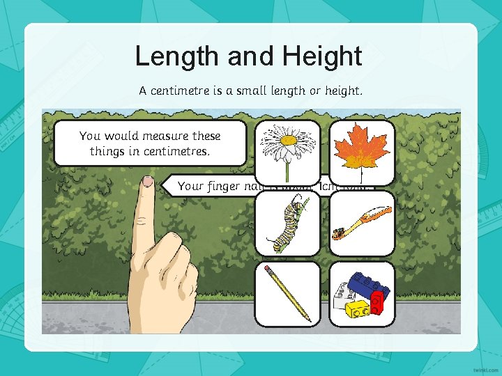 Length and Height A centimetre is a small length or height. You would measure