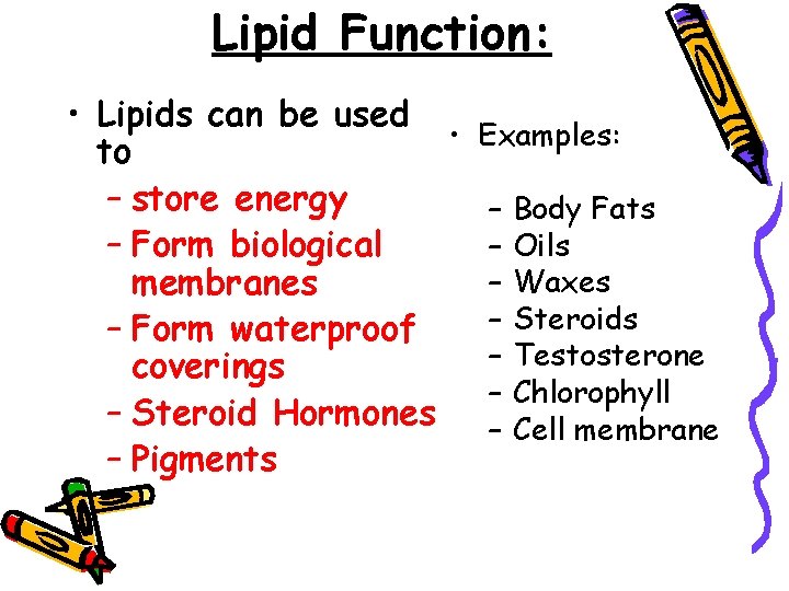 Lipid Function: • Lipids can be used • Examples: to – store energy –