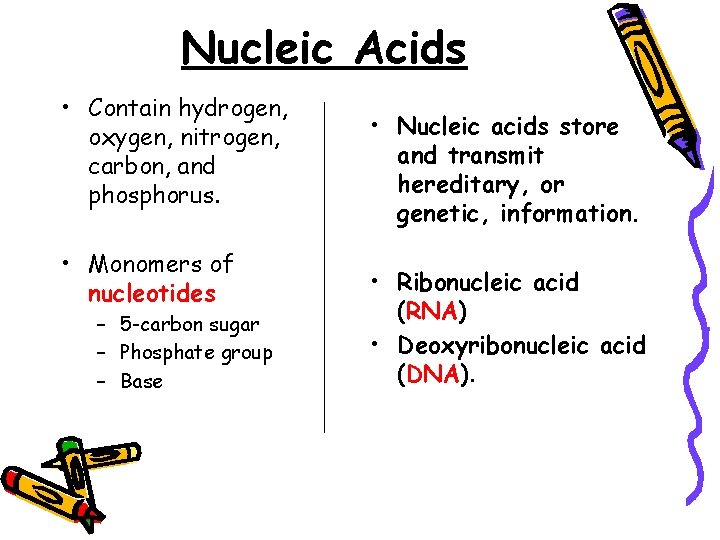 Nucleic Acids • Contain hydrogen, oxygen, nitrogen, carbon, and phosphorus. • Monomers of nucleotides