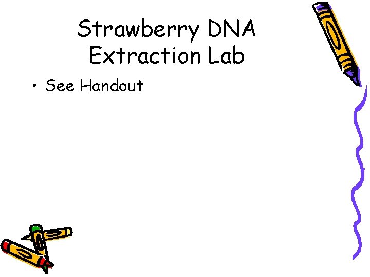 Strawberry DNA Extraction Lab • See Handout 