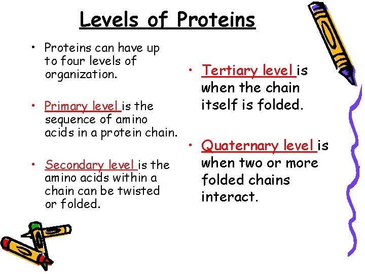 Levels of Proteins • Proteins can have up to four levels of organization. •