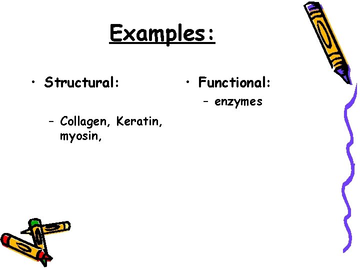 Examples: • Structural: • Functional: – enzymes – Collagen, Keratin, myosin, 