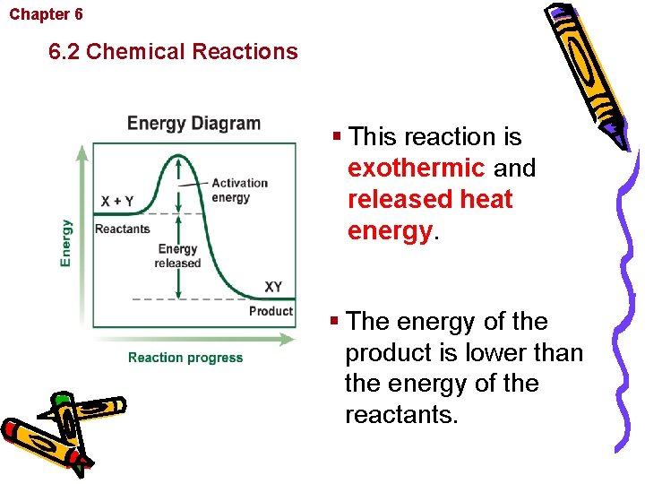 Chapter 6 Chemistry in Biology 6. 2 Chemical Reactions § This reaction is exothermic