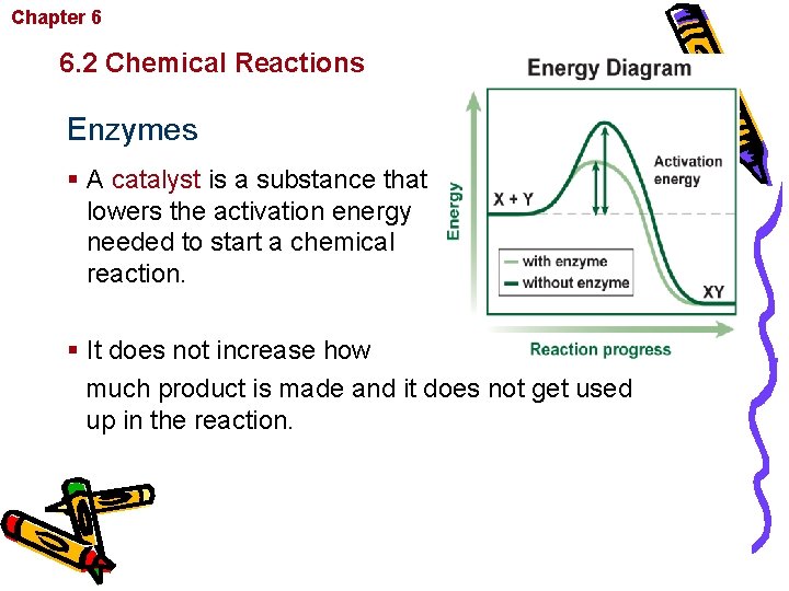 Chapter 6 Chemistry in Biology 6. 2 Chemical Reactions Enzymes § A catalyst is