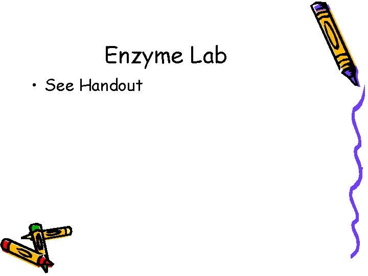 Enzyme Lab • See Handout 
