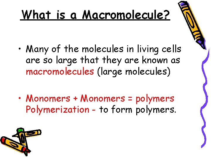 What is a Macromolecule? • Many of the molecules in living cells are so