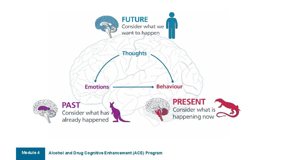 Module 4 Alcohol and Drug Cognitive Enhancement (ACE) Program Module 4 Alcohol and Drug Cognitive Enhancement (ACE) Program