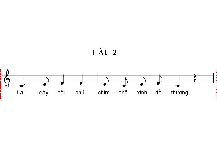 C©u 2 