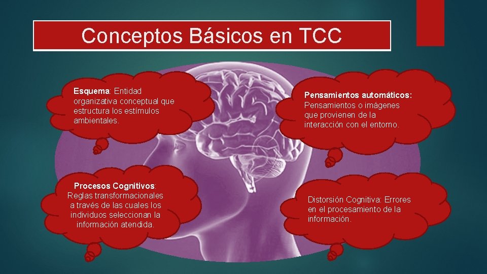 Conceptos Básicos en TCC Esquema: Entidad organizativa conceptual que estructura los estímulos ambientales. Procesos
